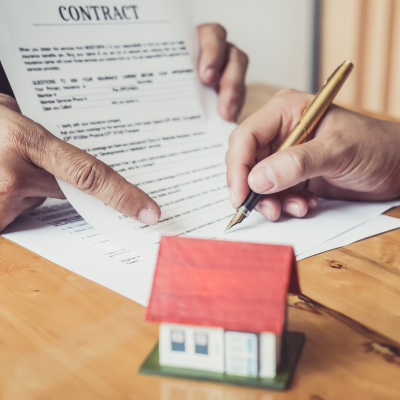 Wordpress Design (4)